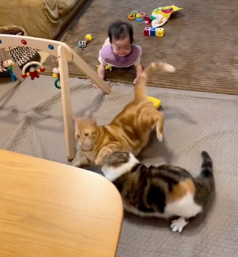 喧嘩を見て再び泣き出してしまった赤ちゃん