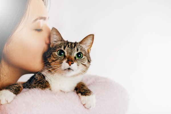 女性に抱っこされて遠くを見る猫