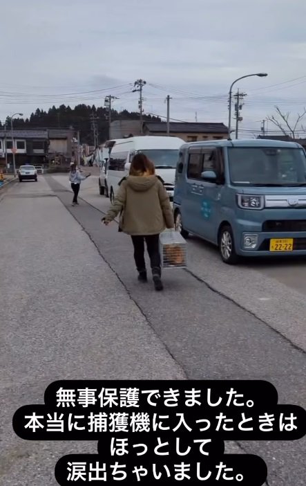 捕獲器に入れられた猫を運ぶ人