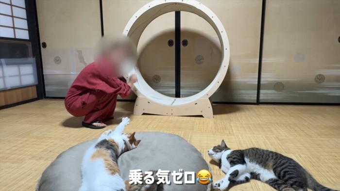 乗る気ゼロ