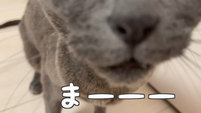まーーー