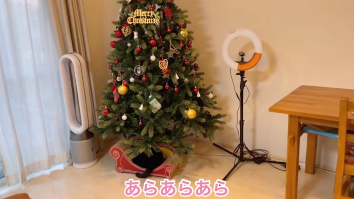 クリスマスツリー