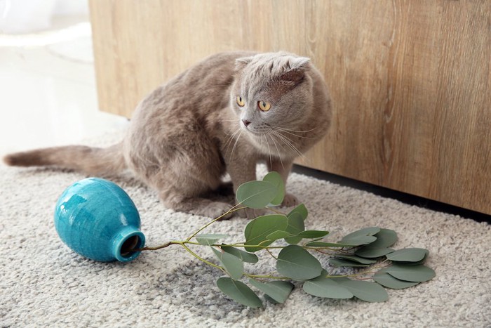 倒れた花瓶の横にいる猫