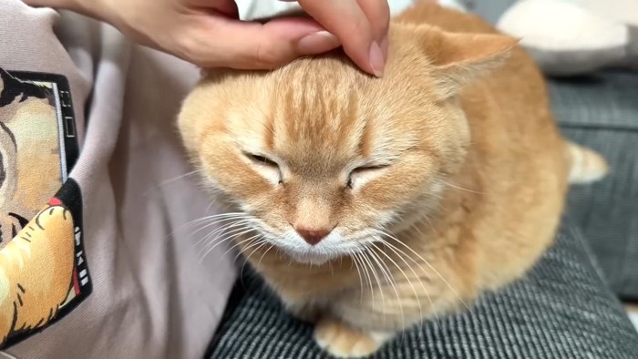 なでなで