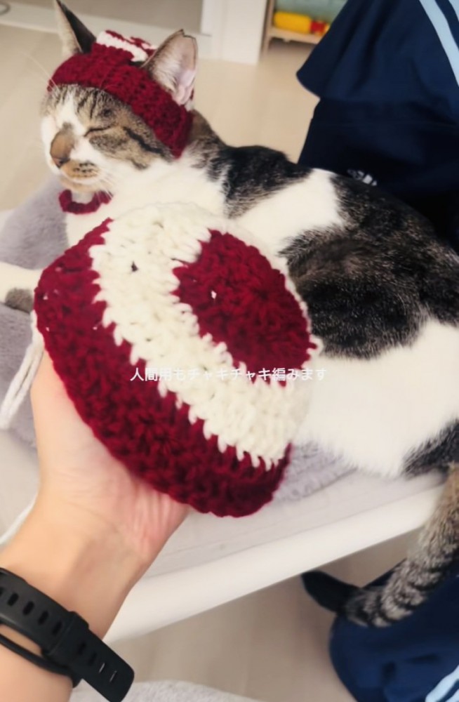 猫とお揃いのニット帽を編むママ