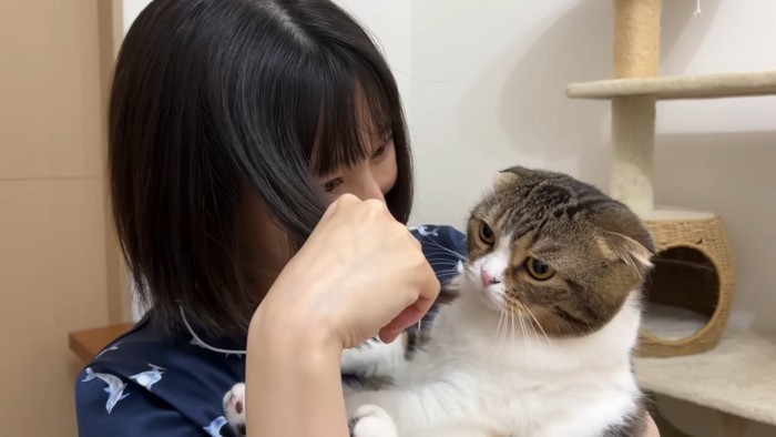 抱っこされる猫