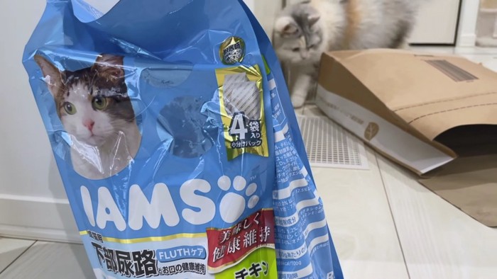 フードのパッケージの向こうに猫