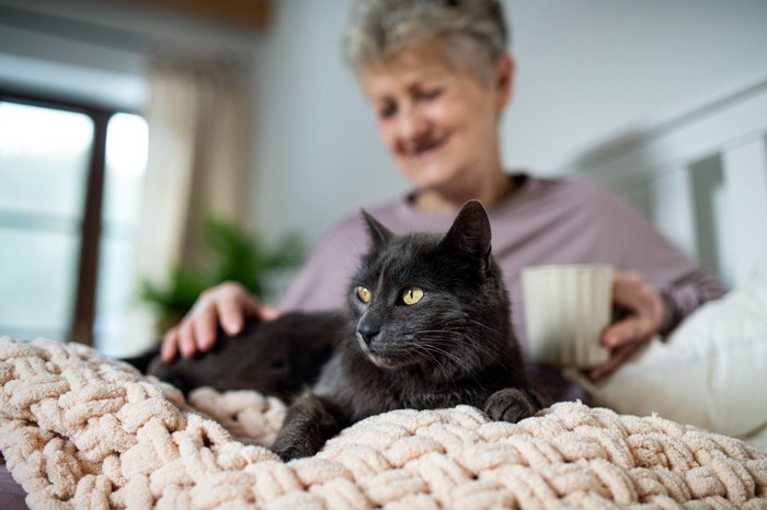 ベッドで休んでいる猫と年配の女性