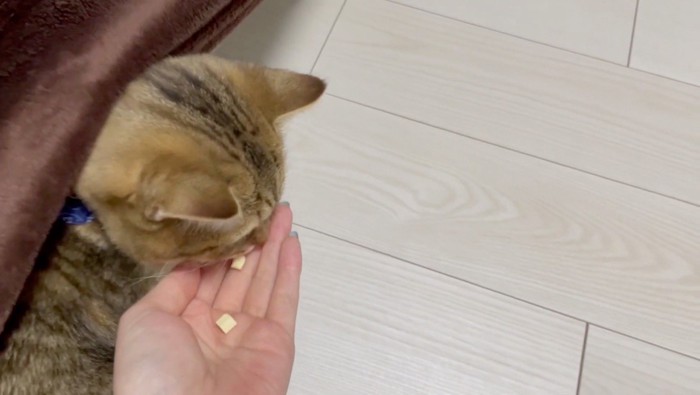 再びおやつを食べるみにらくん