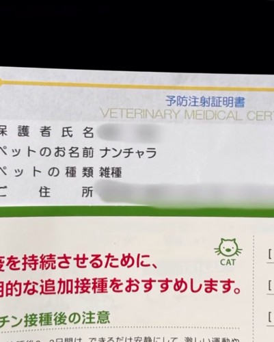 予防接種証明書