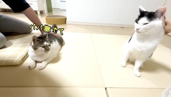 パパ撫でて