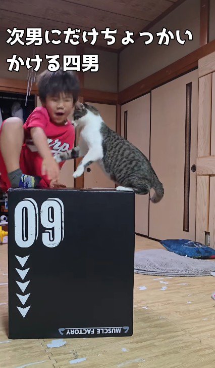 ジャンプトレーニングをする男の子