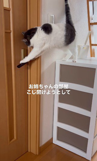 レバーを押し下げようとする瞬間