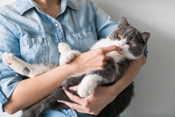 猫と無理に触れ合う人