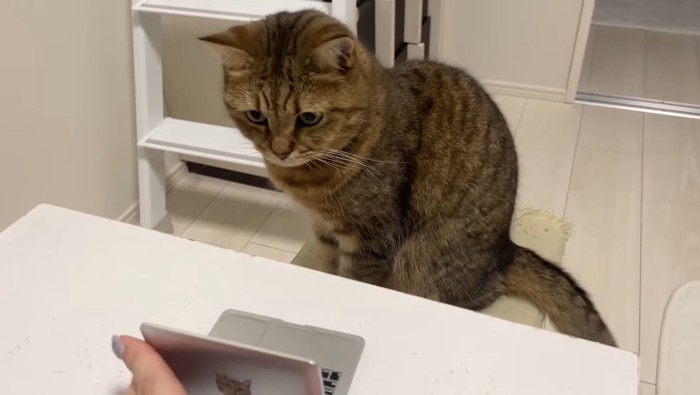パソコンの前に座って