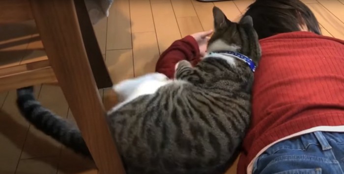 子供にピッタリとくっついて左肘を蹴る猫