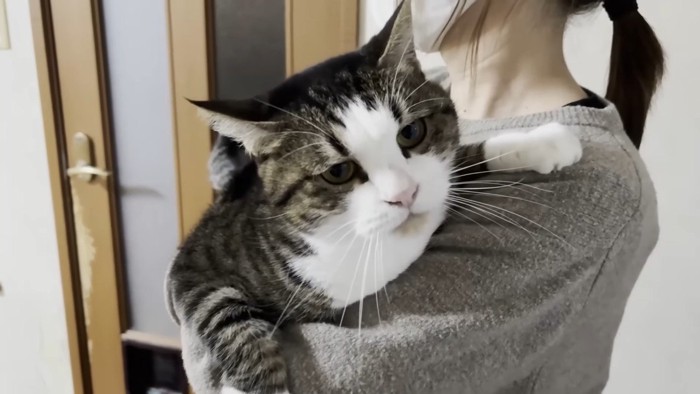 ママさんに抱っこ