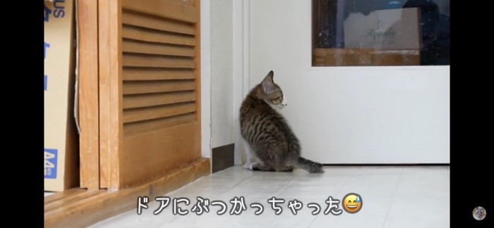 頭をぶつける