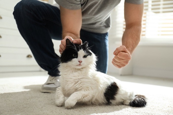 こぶしを握る男性と猫