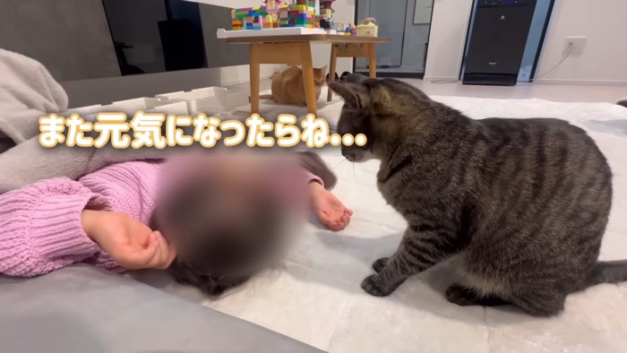 子どもの近くに座る猫