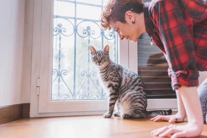 猫のそばに座る女性