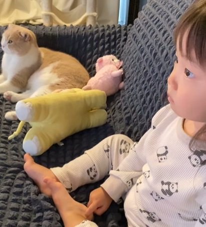 ソファに座り前を見る子供と猫