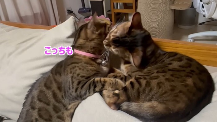 「こっちも」