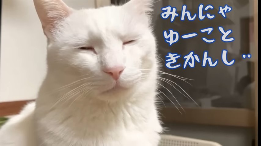 ゆきおくんのアップ