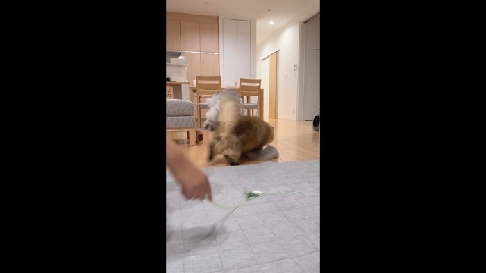 接触するふたり