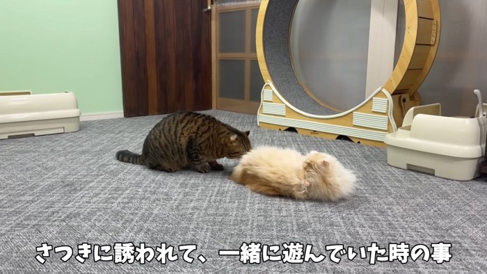 おしりを嗅ぐ姿