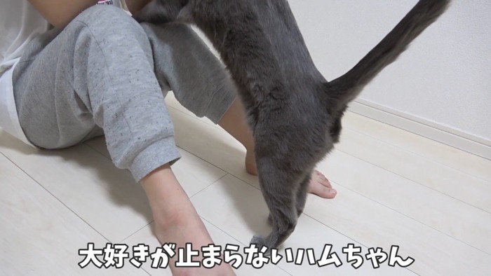 大好きが止まらない