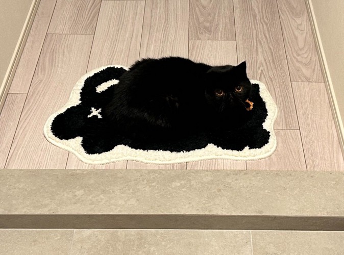 玄関マットの上に黒猫