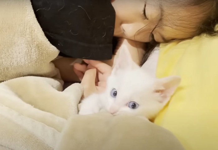 子供と一緒の布団に入る子猫