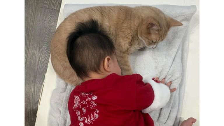 寝ている赤ちゃんと猫