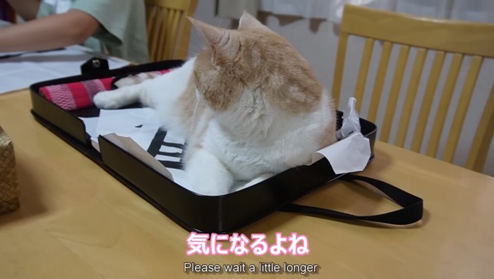 気になるよね