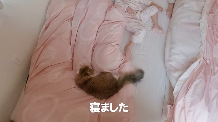 布団の上で寝る猫