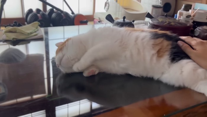 寝転がって