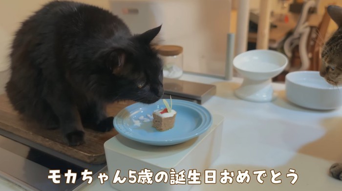 手作りケーキ