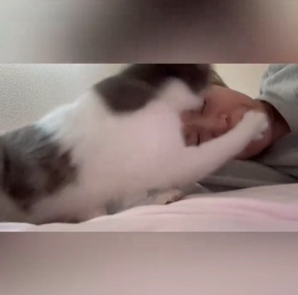 襲撃