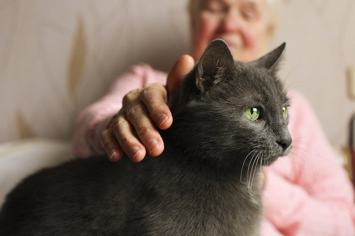 おばあさんの膝の上に乗る猫