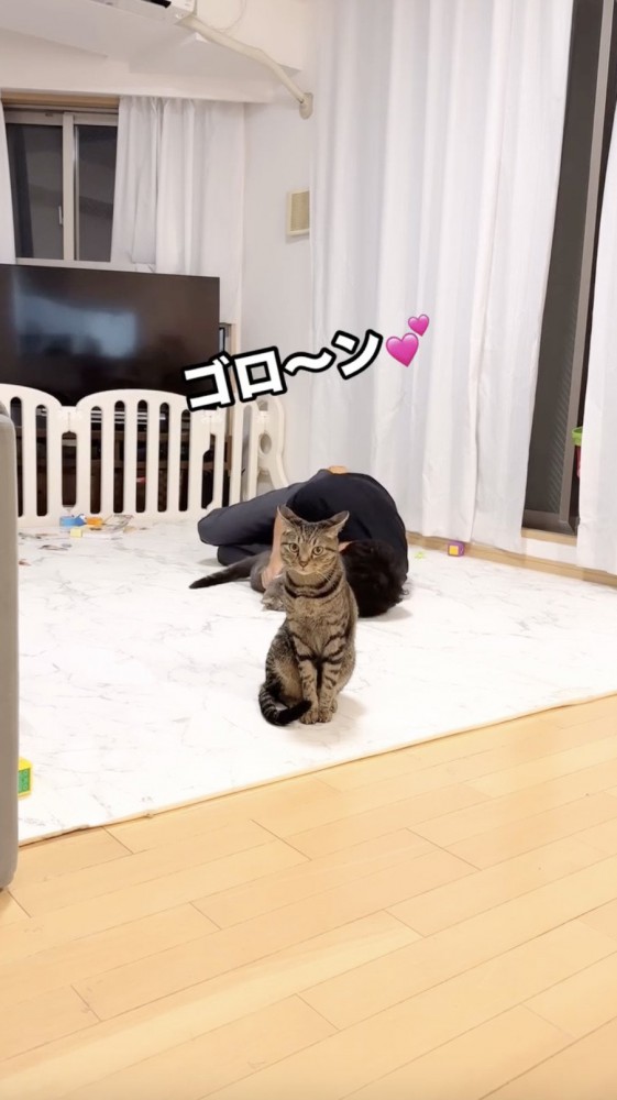 猫を抱いたまま横になるパパとカメラを見つめ続ける猫