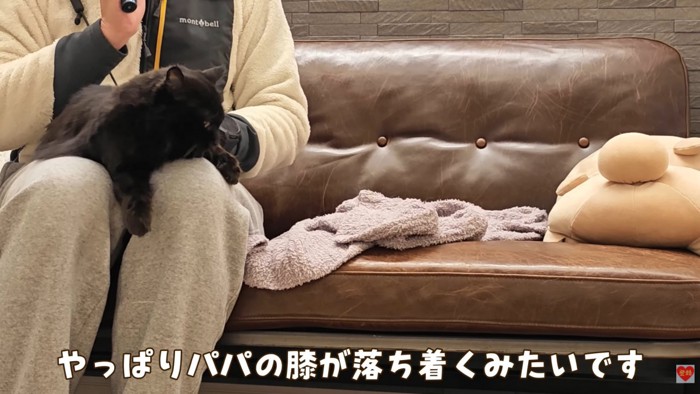 テロップ「やっぱりパパの膝が～」