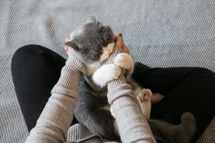 飼い主の手を掴んでじゃれつく猫