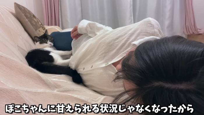 人の体により掛かる猫