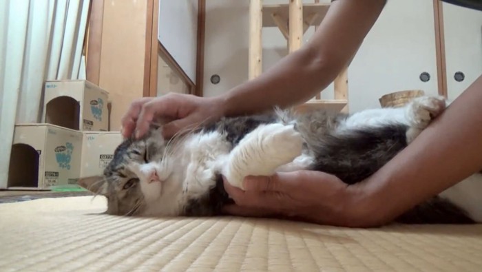 リラックスした表情