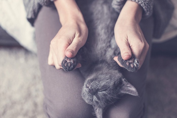 仰向けで肉球をつままれる黒猫