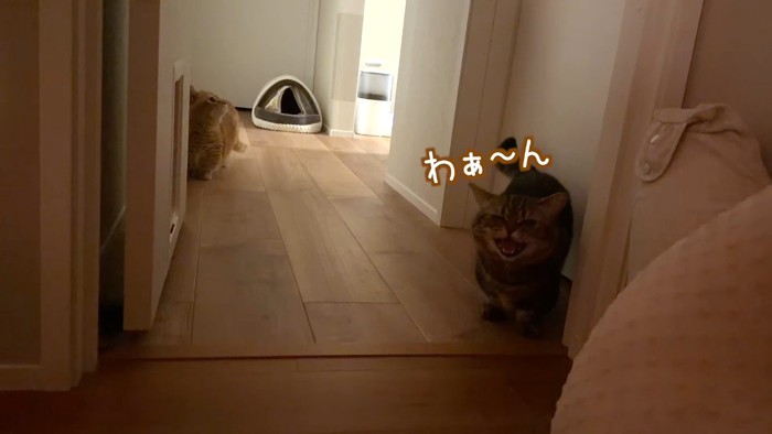 ドアの前でわぁ〜ん