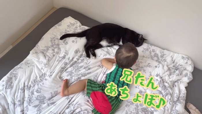 遊びのお誘いをする息子さん