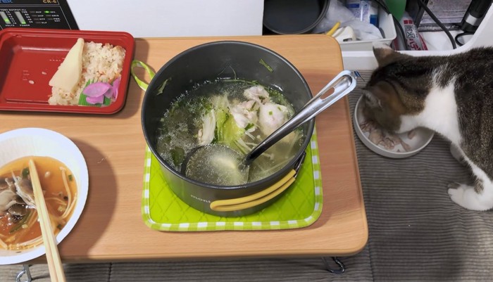 飼い主さんと一緒にご飯タイム