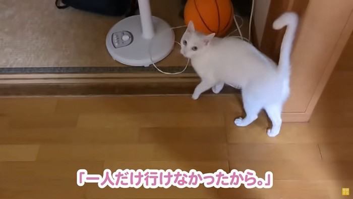 拗ねるシロ